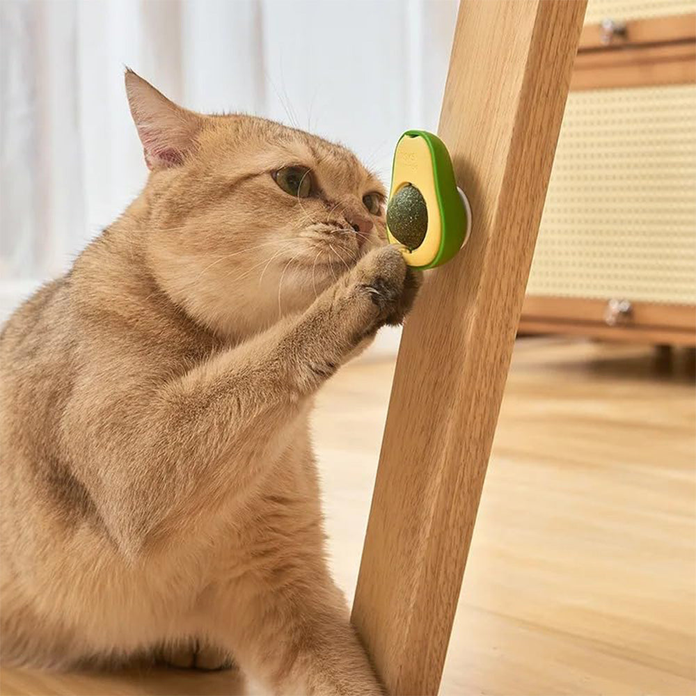 Avocado Catnip Wall Toy for Cats MB331