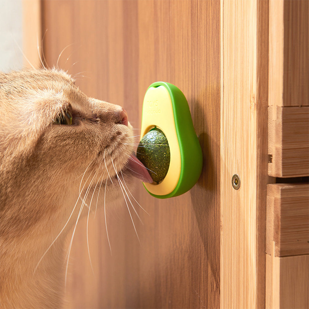 Avocado Catnip Wall Toy for Cats MB331