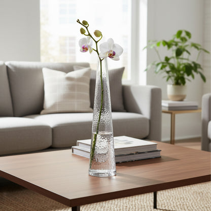 Danny Home Clear Glass Plant Vase 32cm