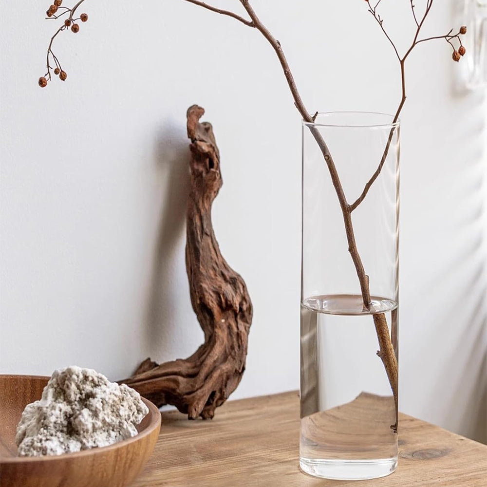 Danny Home Clear Glass Plant Vase 20-cm