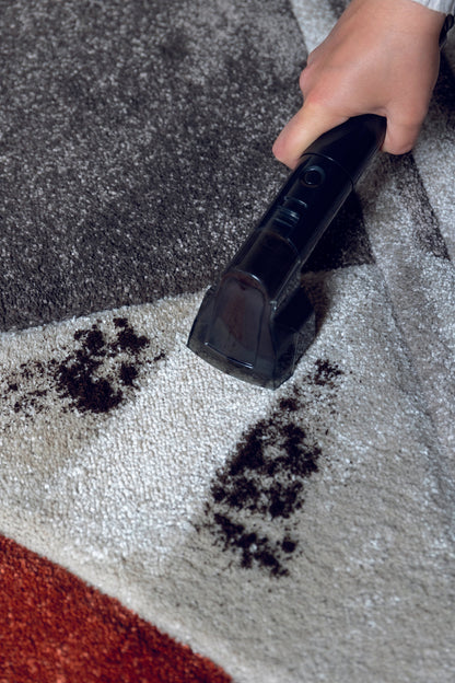 Spot Cleaner Heat Pro 750W