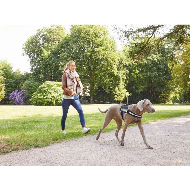 Zoofari Retractable Dog Lead