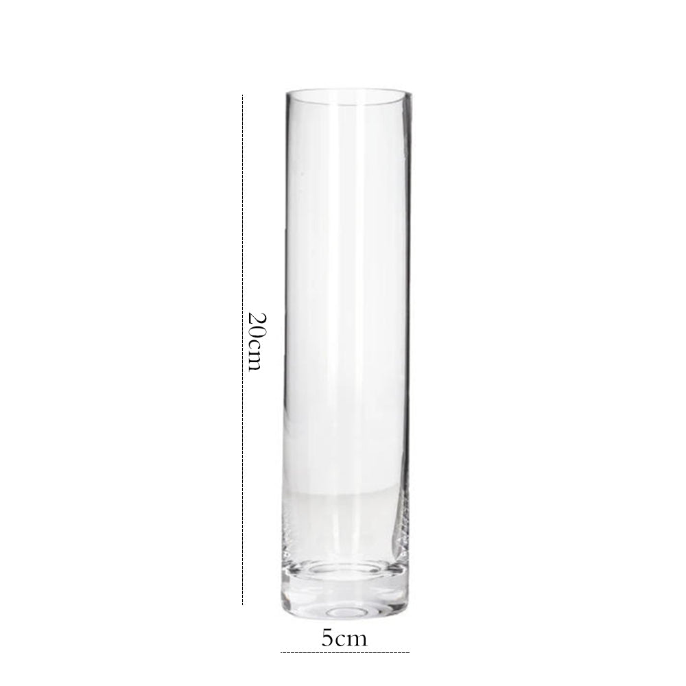 Danny Home Clear Glass Plant Vase 20-cm