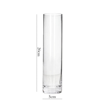 Danny Home Clear Glass Plant Vase 20-cm