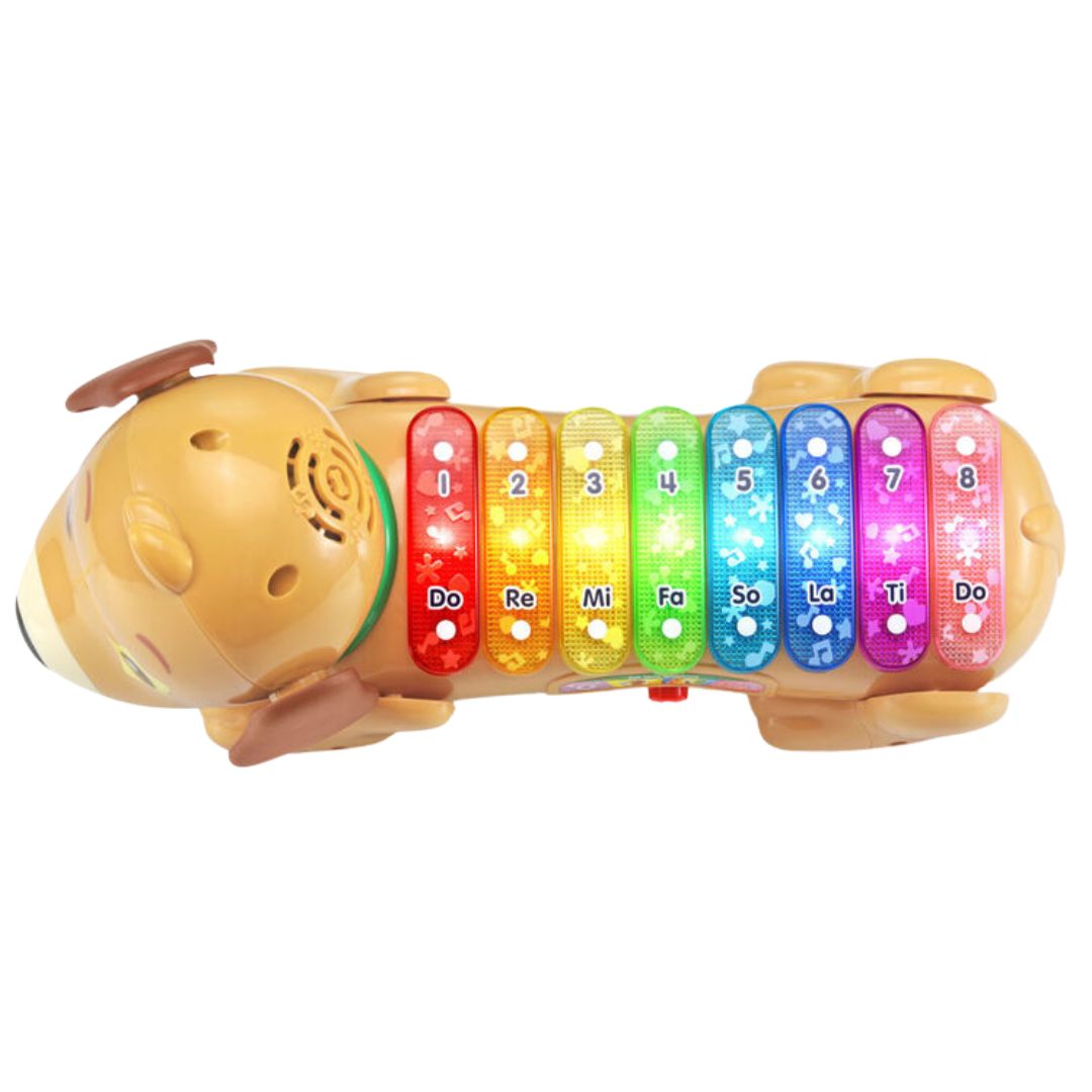 Vtech Elton Mon Rouli Xylophone