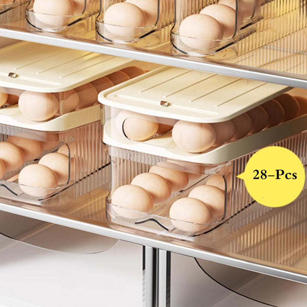 Automatic Rolling Egg Storage Dispenser ( Double Row )