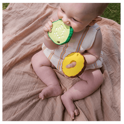 Ananas The Pineapple