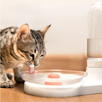 Automatic Pet Fountain