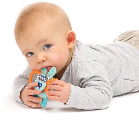 Rabbit Rattle
