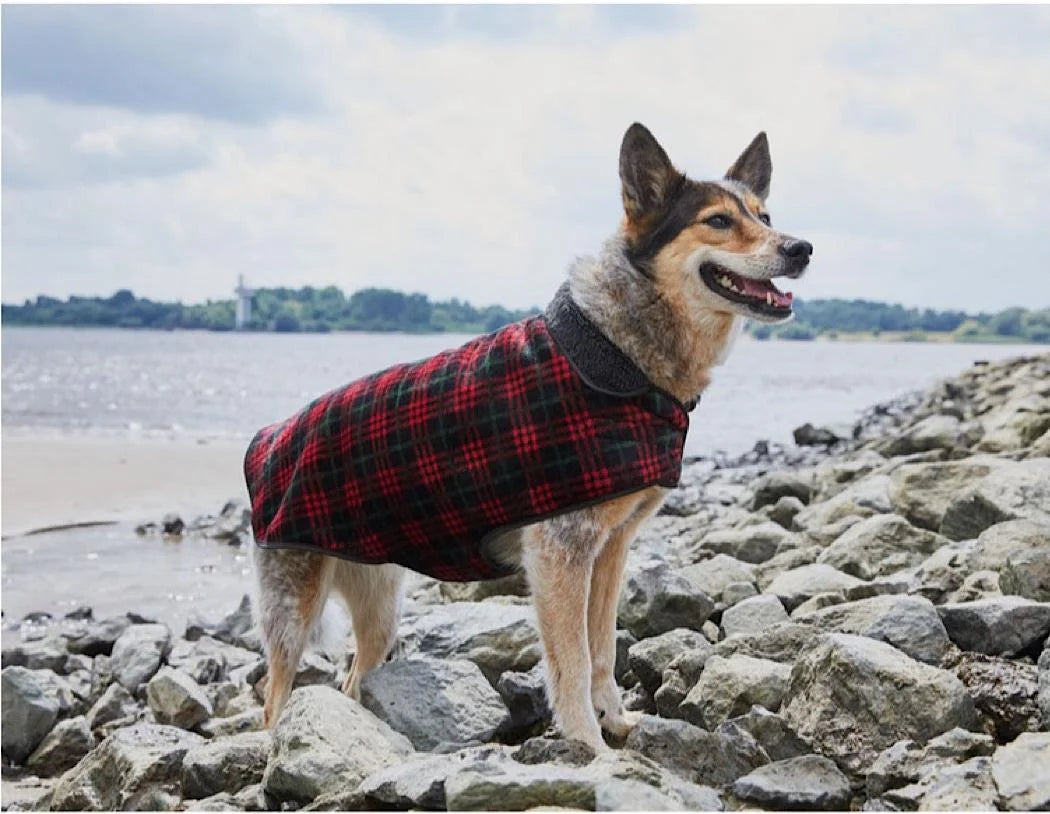 Zoofari Dog Coat Klaptap