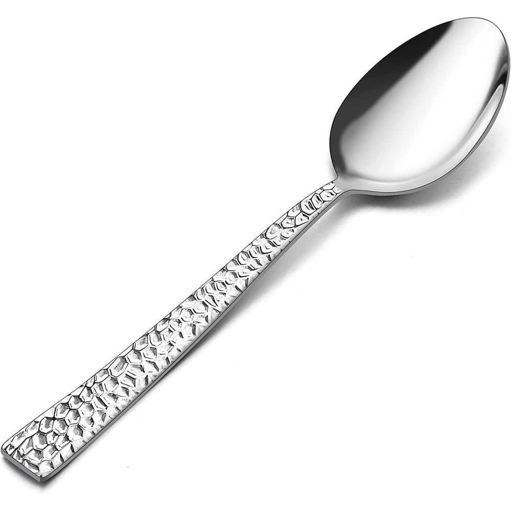 Danny Home 6-Pieces Dinner Stainless Steel Table Spoons Silverware Flatware