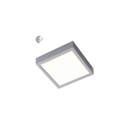 Nino PUCCY Ceiling Light LED