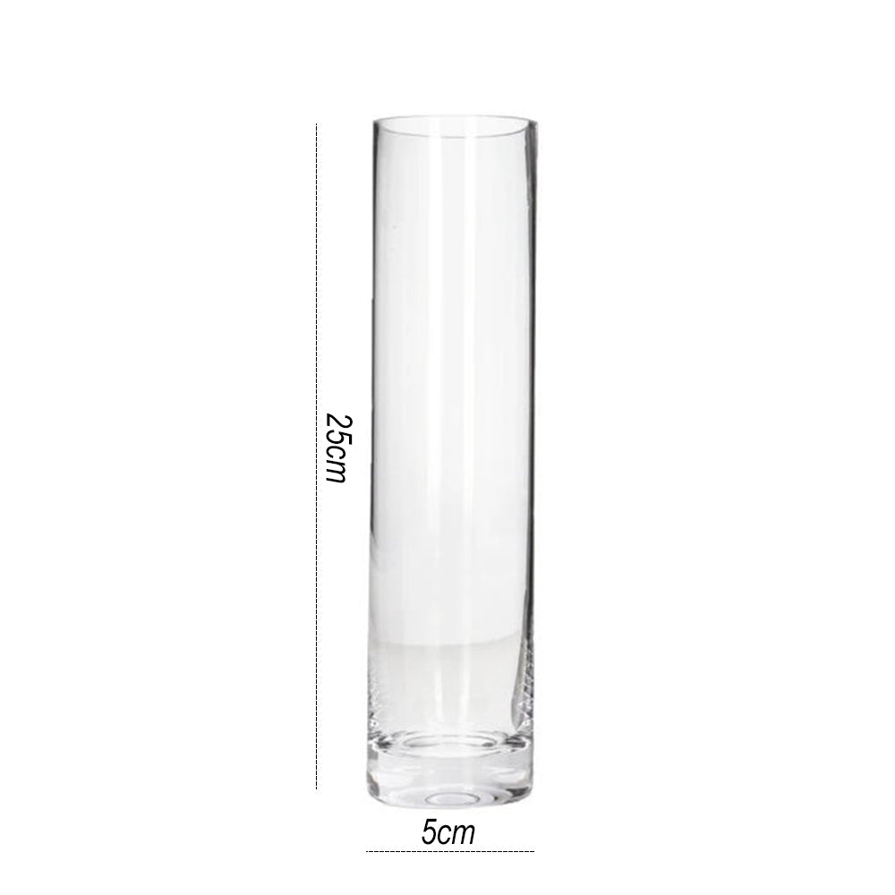 Danny Home Clear Glass Plant Vase 25-cm