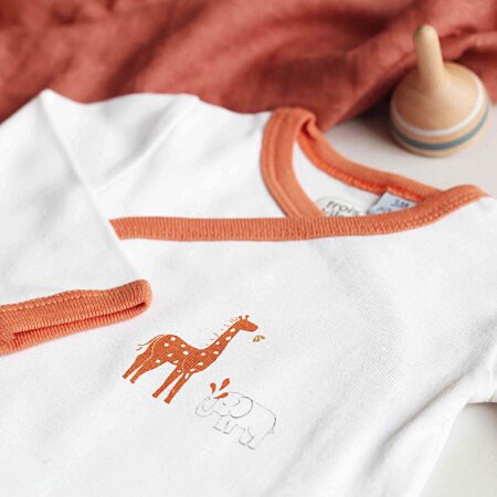 Set of 2 Organic Cotton Baby Bodysuits