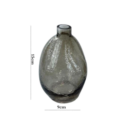 Danny Home Glass Plant Vase Grey 15-cm