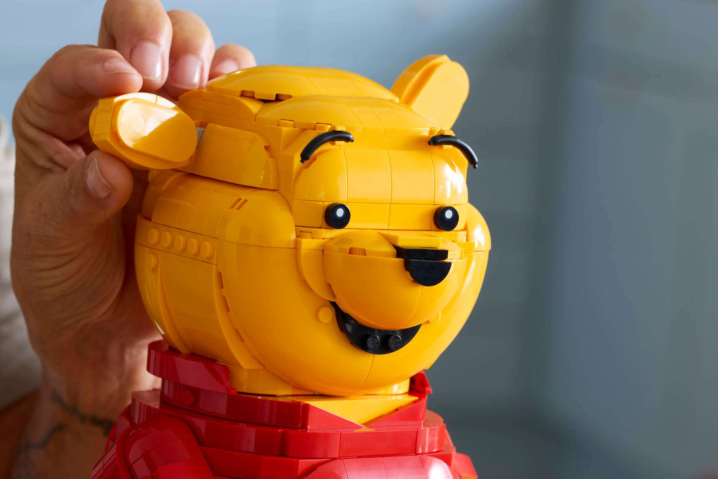 LEGO Ideas Disney Winnie the Pooh Building Set 43300