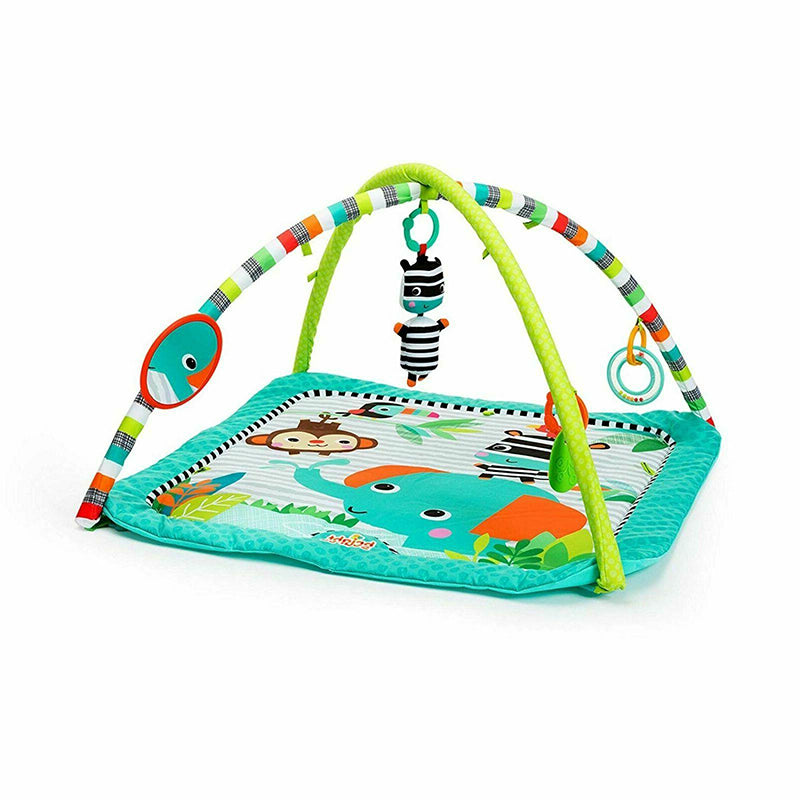 Bright Starts 52039 Zig Zag Safari