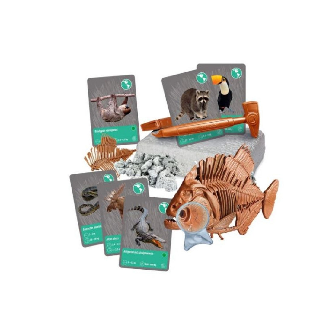 Clementoni Animal Discovery Kit With Virtual Reality