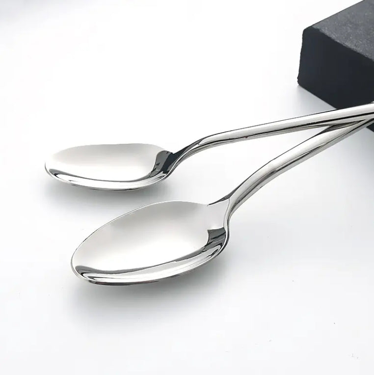 Danny Home 6-Pieces Stainless Steel Table Spoons Silverware Flatware