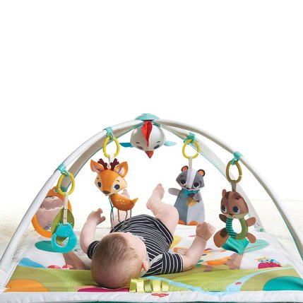 Carpet In The Forest