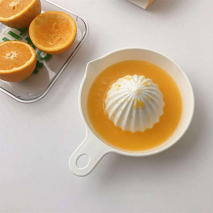 Citrus Juicer With Handle