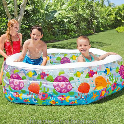 intex 56493 Inflatable Swimming Water Pool