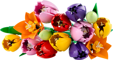 LEGO Botanicals Collection Tulip Bouquet 11501