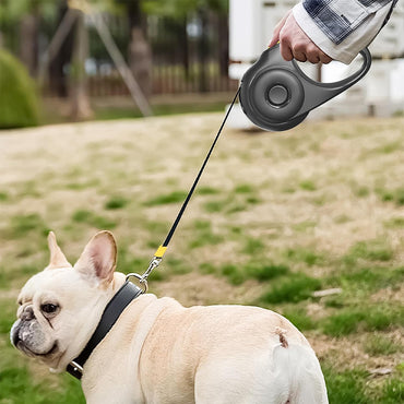 Retractable Dog Lead –3m Roller Leash
