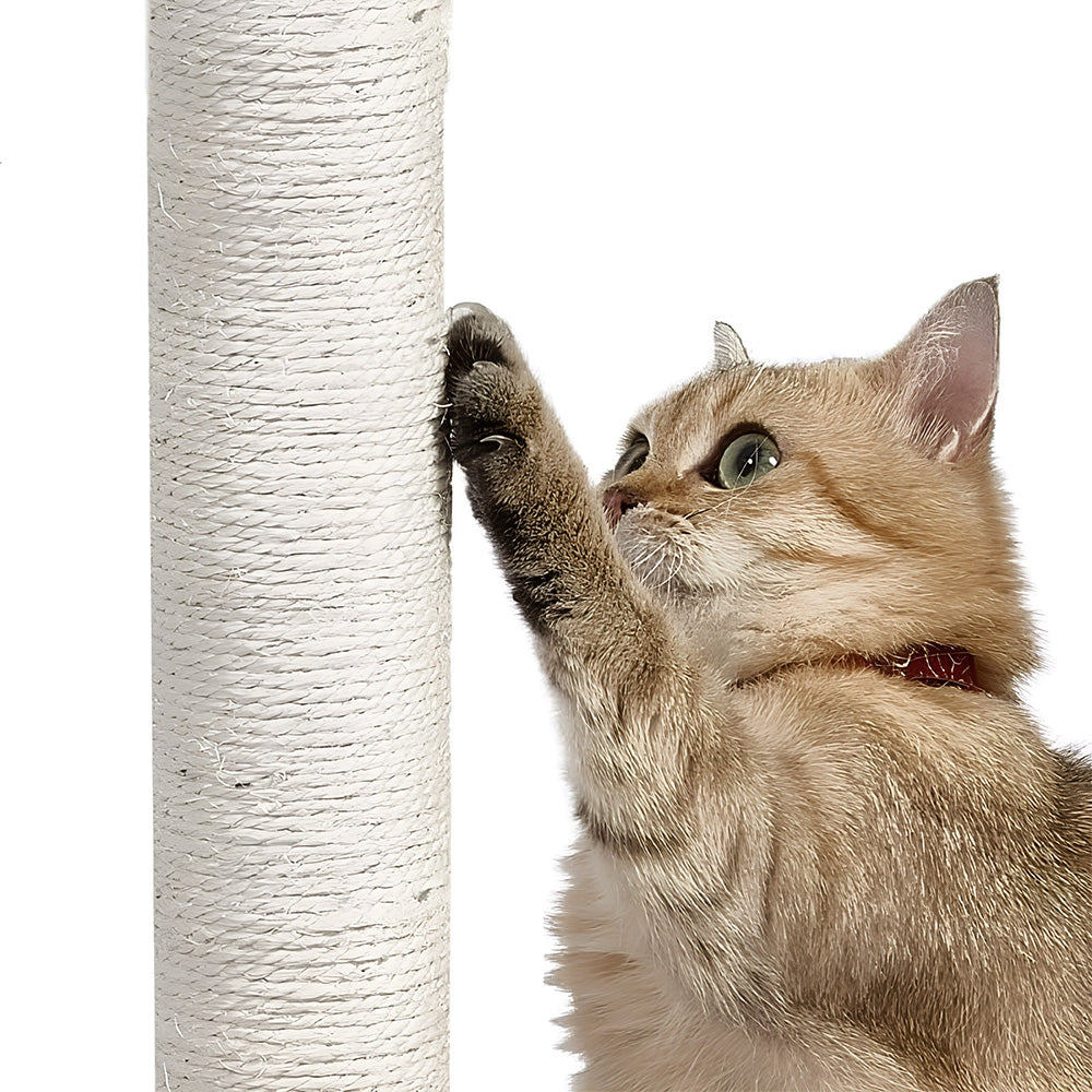 Cat Tree & Scratching Post Activity Centre