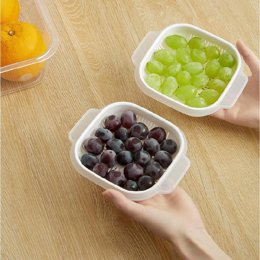 Frozen Storage Containers, Rice, Serving