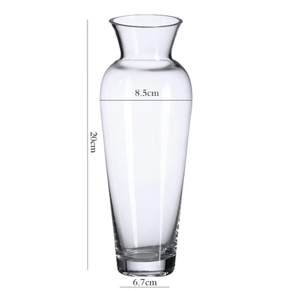 Danny Home Clear Glass Plant Vase 20-cm