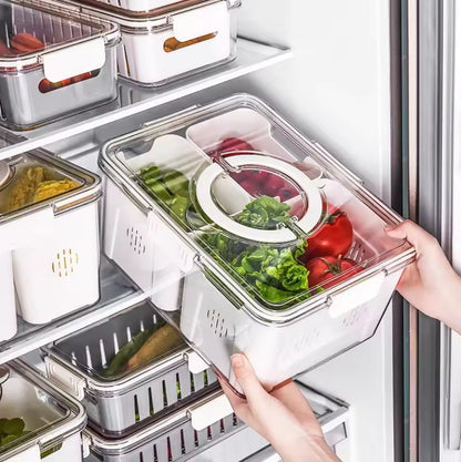 Food Storage Containers Box With Clear Lid and 4 Removable Drain Tray