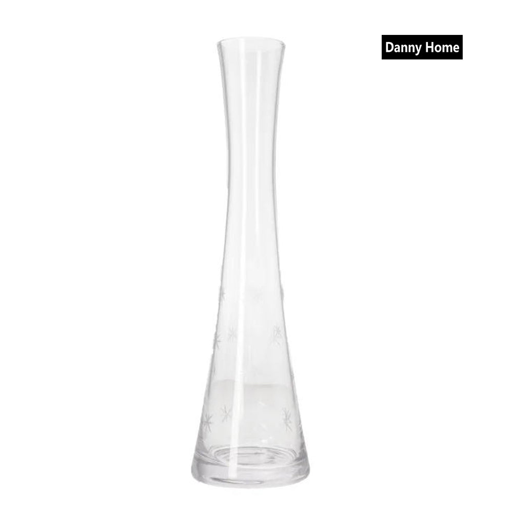 Danny Home Clear Glass Plant Vase 27-cm