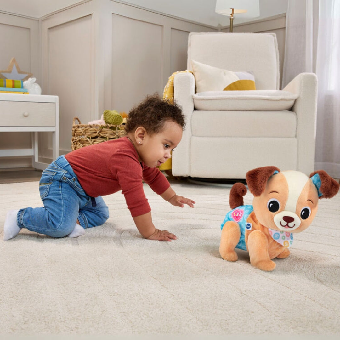 Vtech Touttou 1,2,3 Follow Me (French)