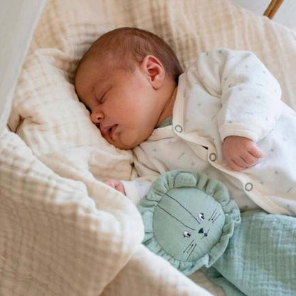 Tiny Steps 6-Piece Baby Gift Set