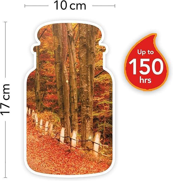Yankee Candle Freshly Wood Land Trip 623g