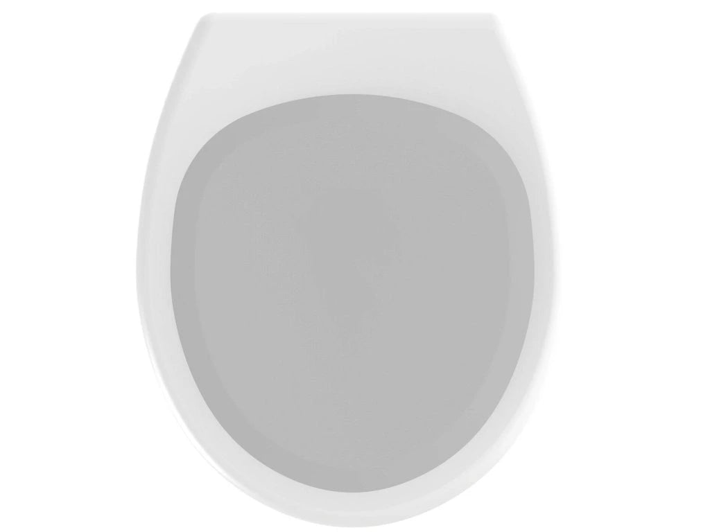 Wenko Antibacterial Duroplast WC Seat with Stable Fixing & Modern Design