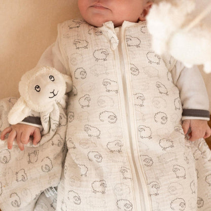 Cotton Wearable Blanket 0-6M