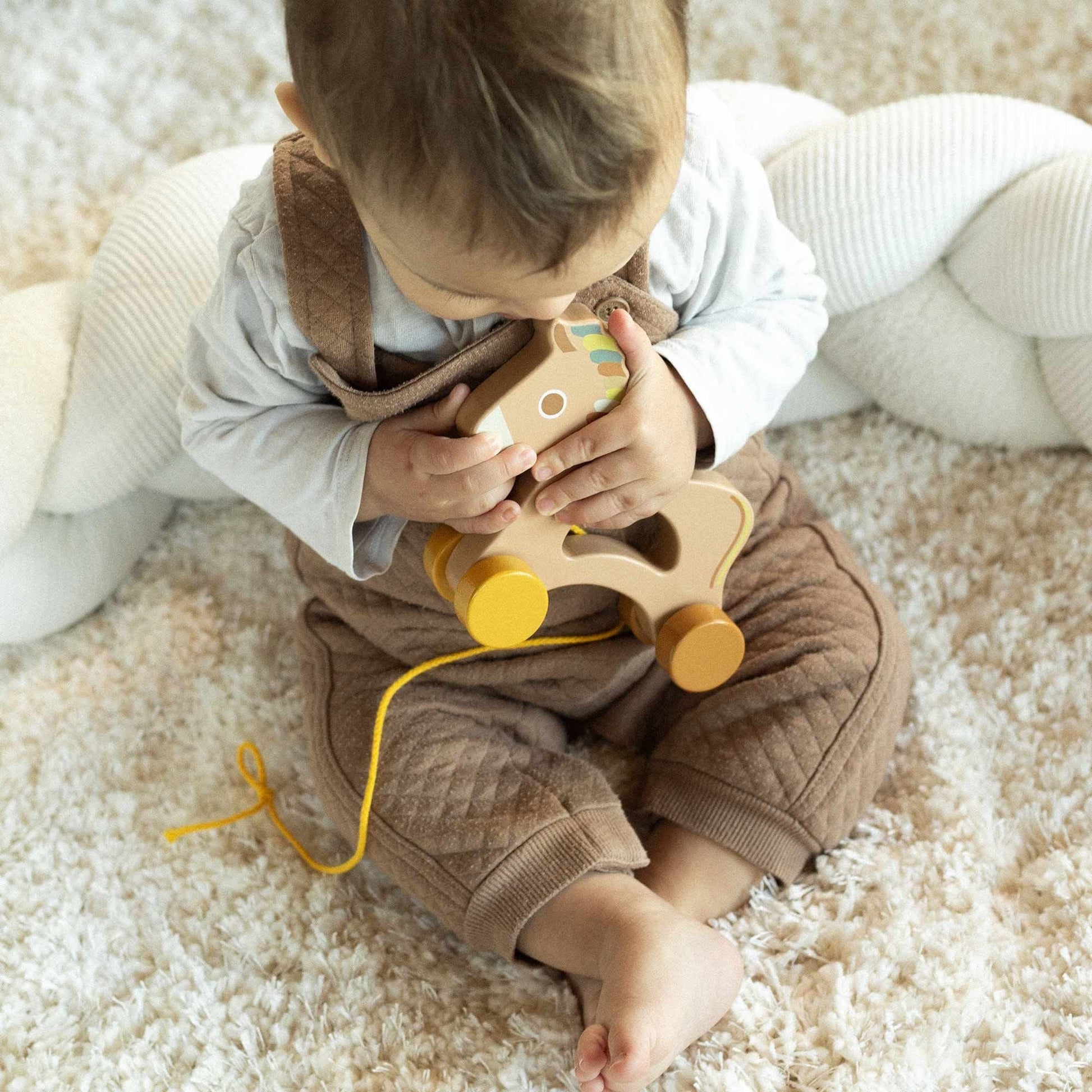 Wooden Horse Pull Along Toy