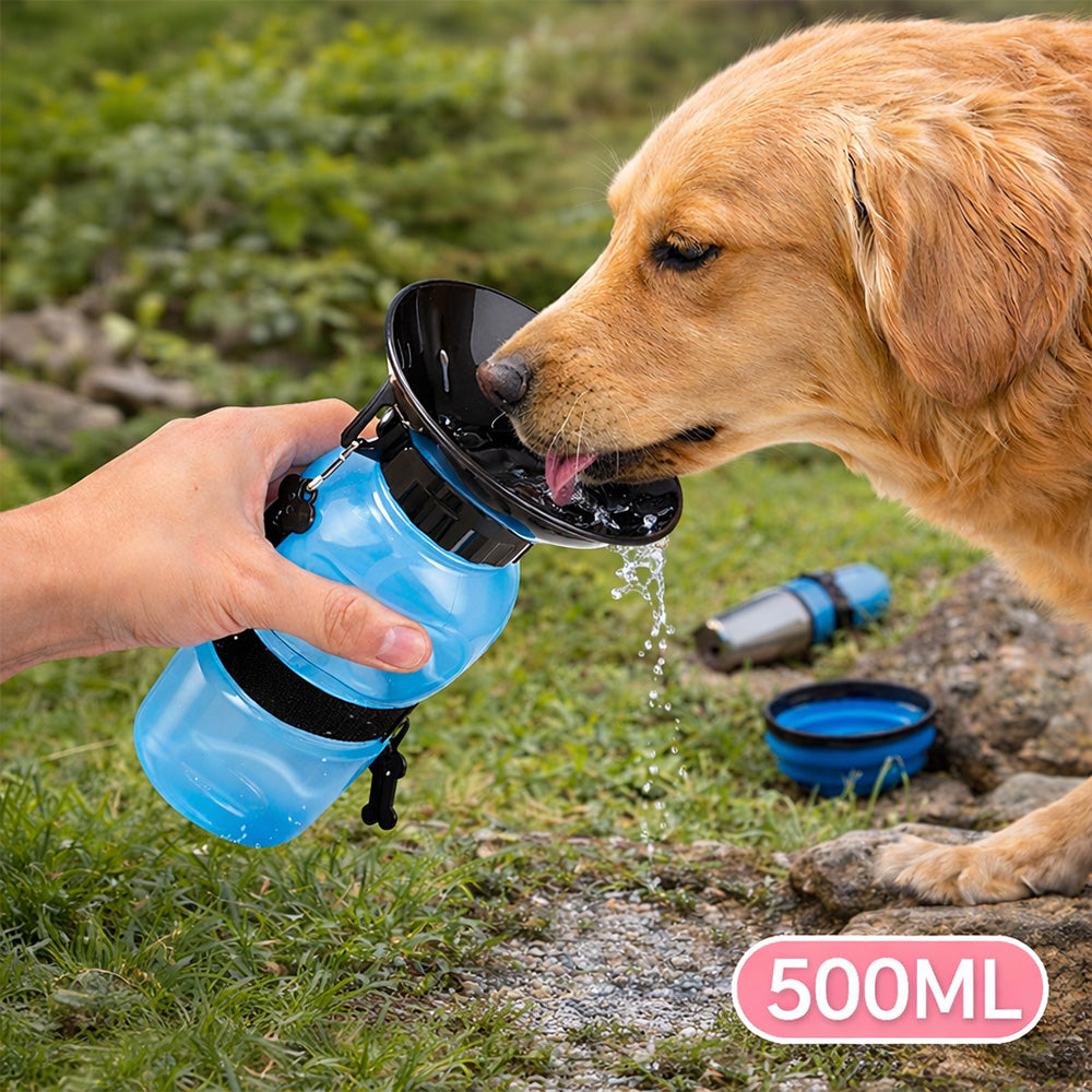 Aqua Dog Travel Water Bottle-Blue