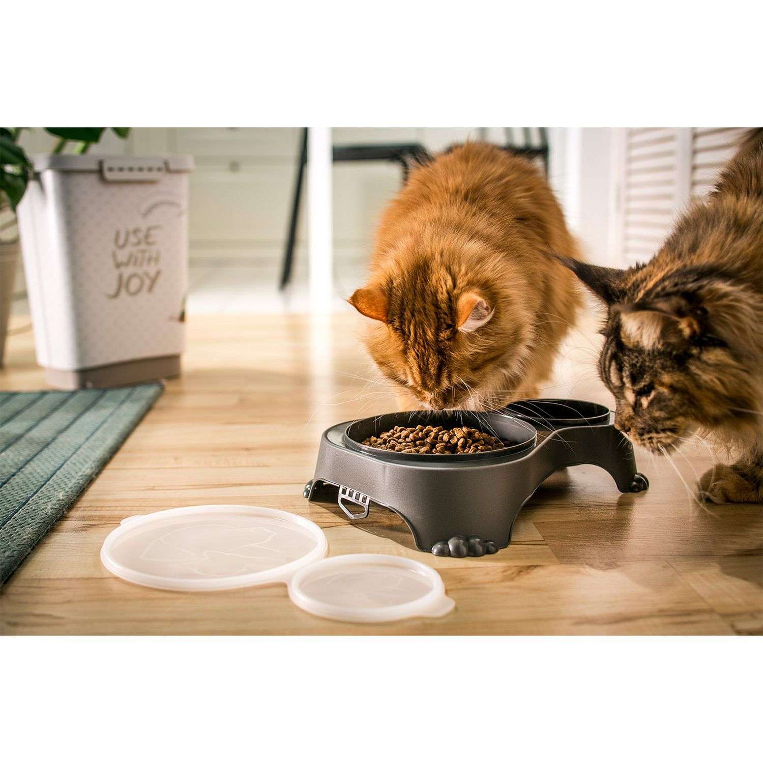 Rotho Double Food Bowl l SALLY