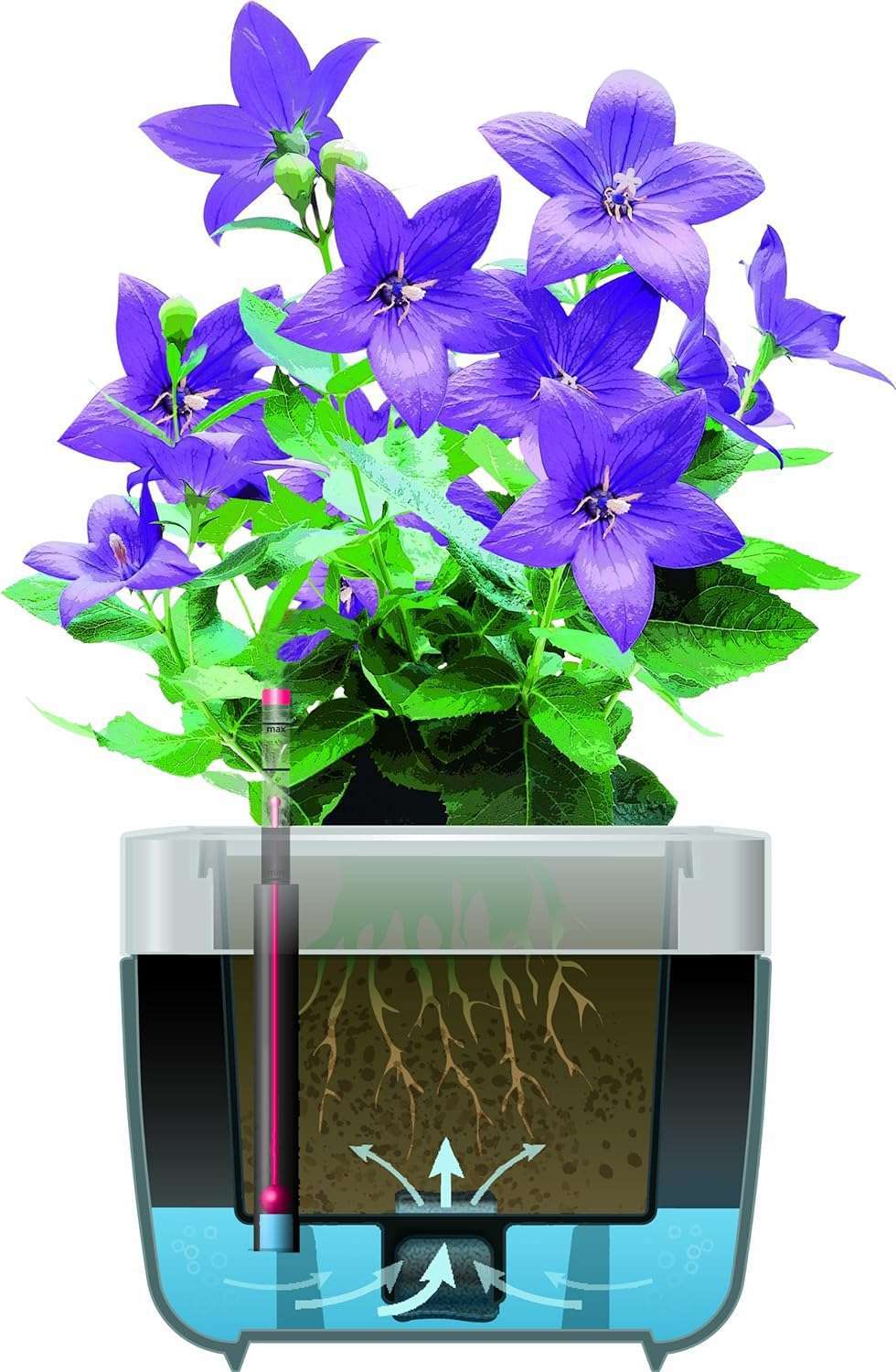 Emsa 506734 flower Pot-  MyBox, Pink- 75 cm – Made in Germany