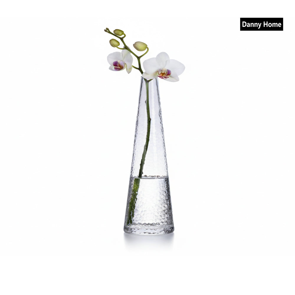 Danny Home Clear Glass Plant Vase 18.5cm