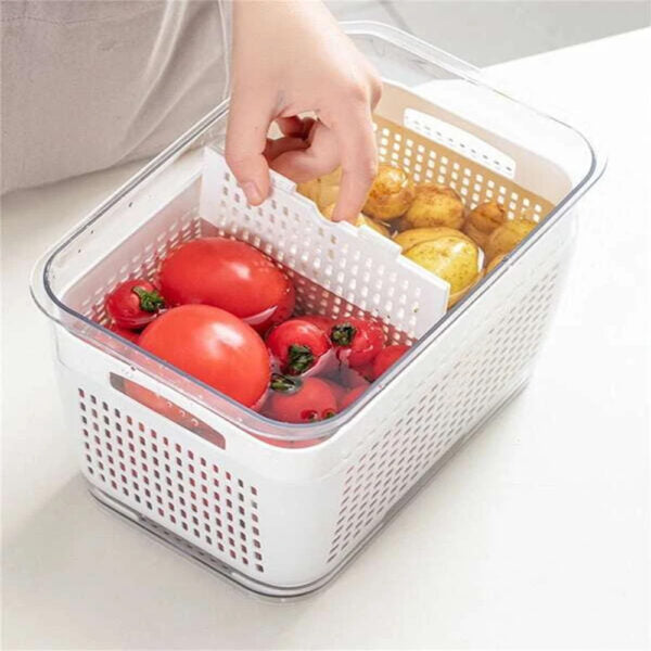 Food Storage Containers Box With Clear Lid and Removable Drain Tray