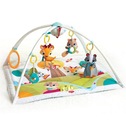 Carpet In The Forest