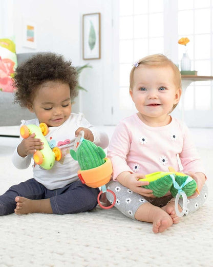 Farmstand Grow & Play