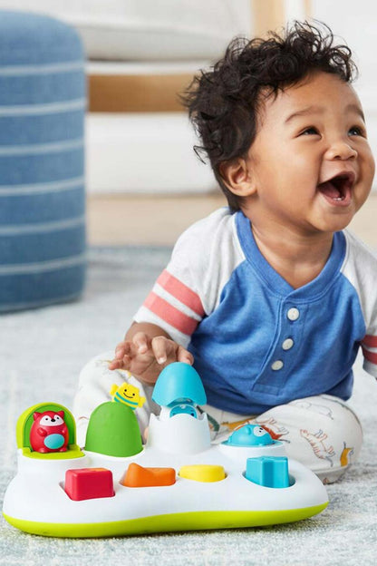 Color Sorting Pop Up Toy