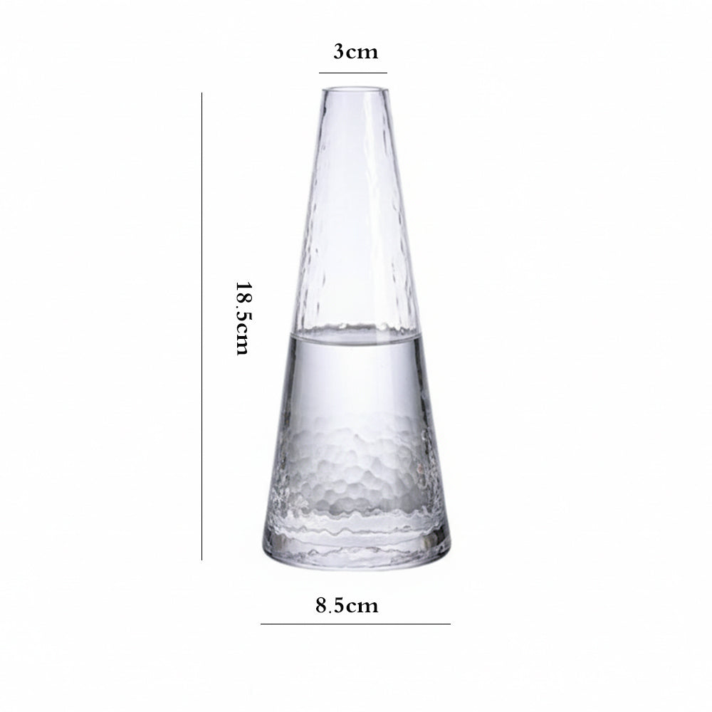 Danny Home Clear Glass Plant Vase 18.5cm