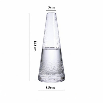 Danny Home Clear Glass Plant Vase 18.5cm