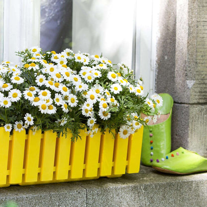 EMSA 508694 Flower Pot – Yellow -Made in Germany-75 cm